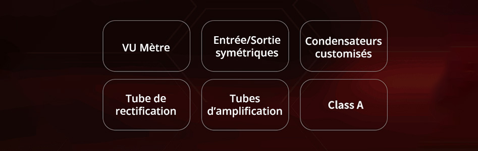 XDUOO TA-20 PLUS Amplificateur Casque Symétrique XLR à Tubes 1x5Z4P 2x12AU7 Class A